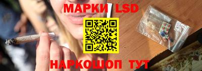 прущие грибы Шахты