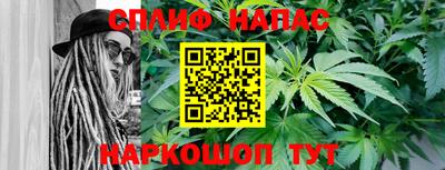 прущие грибы Шахты
