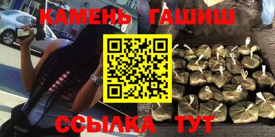 прущие грибы Шахты